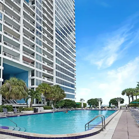 Stay In Love! Miami Skyline Views, Renovated